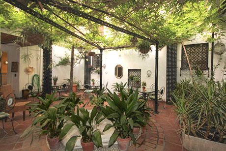 big patio with trees and bushes in costa azul hostel