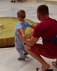 gardens of her Alhambra in granada for children to play