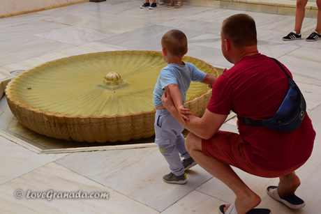 child in the alhambra forest