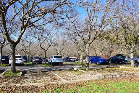 alhambra parking in autumn