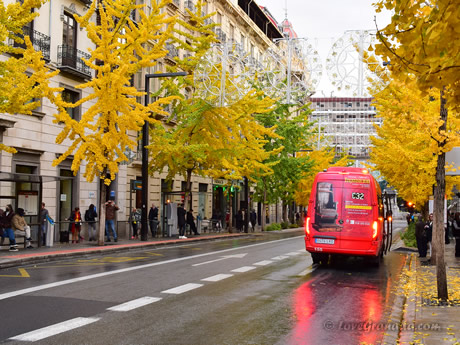 bus stop near cathedral while raining