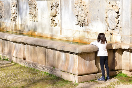 child next to the fountain of carles v