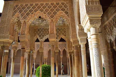 columns in the patio of the lions of alhambra