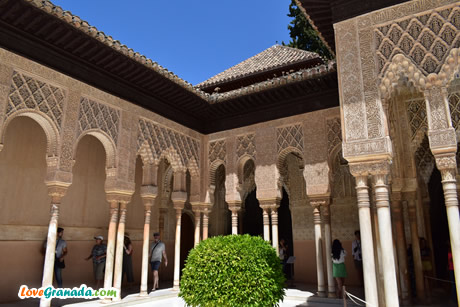 many beautiful columns in the palace of the lions in the alhambra
