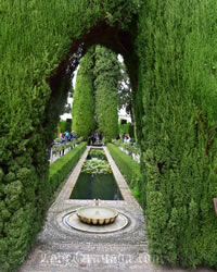 Inside Alhambra Palace in Granada, Spain photo – Free Granada Image on  Unsplash