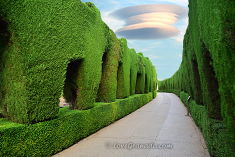 green generalife gardens