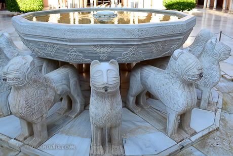 guide tour of the patio leones in the alhambra