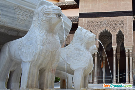 one of the lions in the fountain, close up