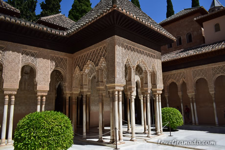 beautiful decorations in patio leones