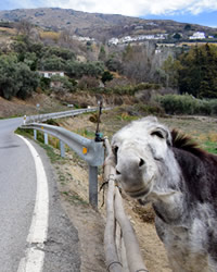 buses to the alpujarras