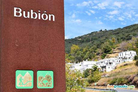 road at the entrance to the town with a bubion sign