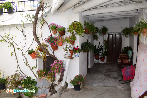roofs of the houses of capileira