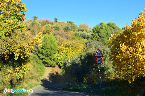 bicycle routes in the soportujar area