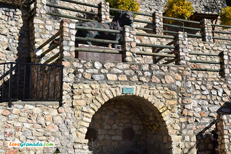 lions fountain