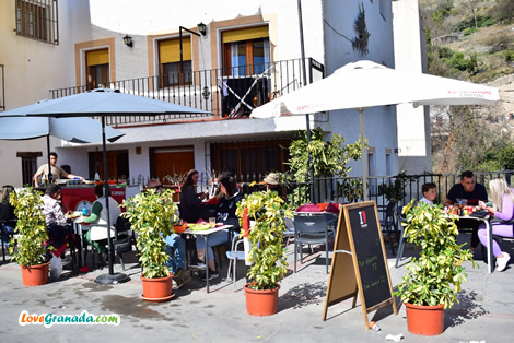 restaurant with flowers in soportujar