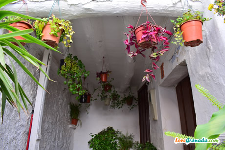 one of the tinaos de soportujar with floats and plants