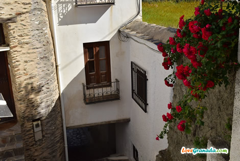 ferreirola houses
