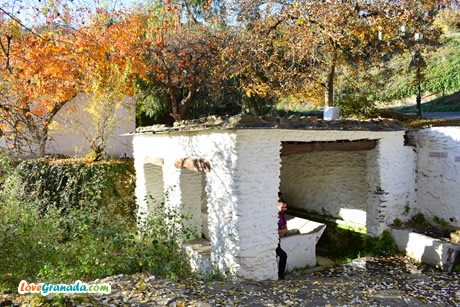 mecina laundry in autumn