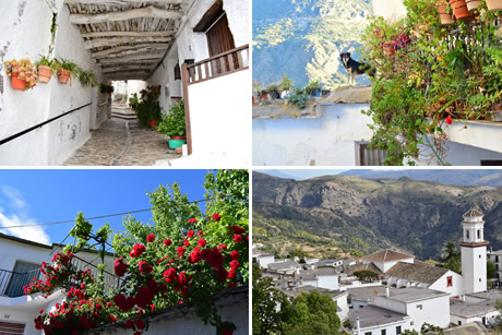 pitres church in the municipality of la taha in the alpujarra
