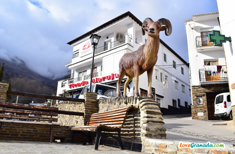 mountain goat at the entrance