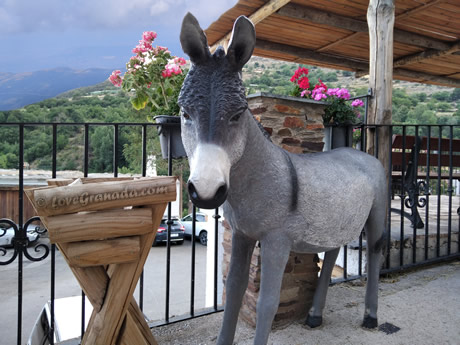 donkey statue in treelez