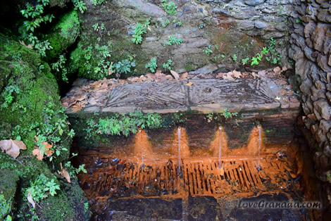 fuente agria