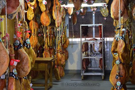 parmaham drying room in trevelez