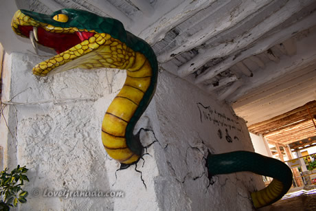 snake in soportujar