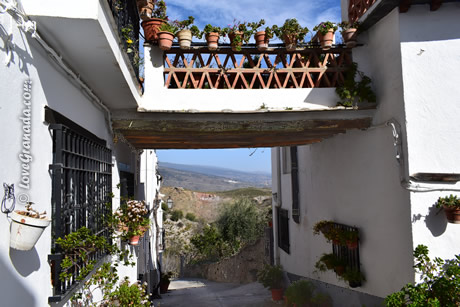 tinao roof in yegan