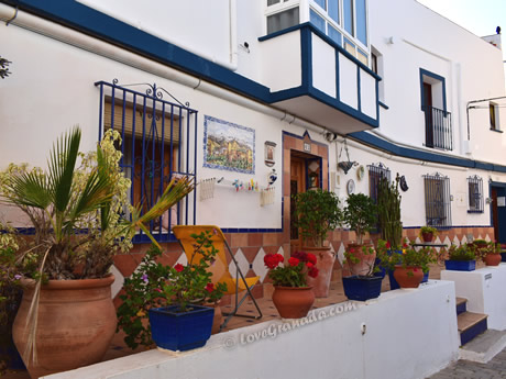 flowers on almunecar street
