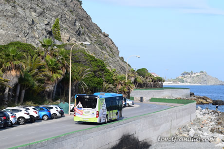 urban bus on the road next to the sea