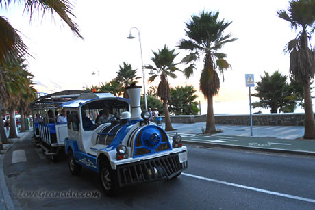 tropical express small train in almuñecar promenade