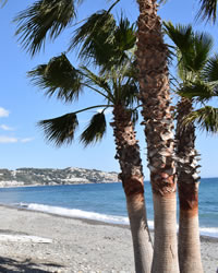 beaches of the costa tropical of granada