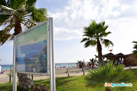 granada beach with palm trees
