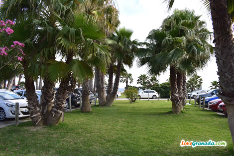 where to park in playa granada
