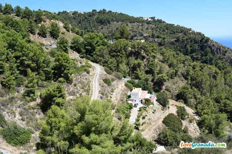 long road to cantarrijan
