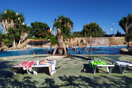 swimming pool in campsite don cactus