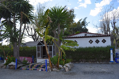 epalm trees and houses in camping playa granada