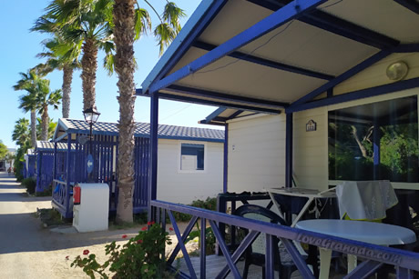 blue wooden cabin in campsite don cactus