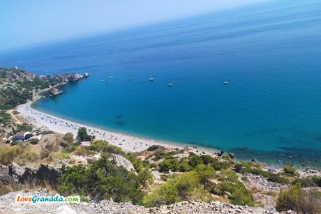 calas del pino