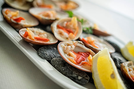 shel fish plate in ballena azul in motril