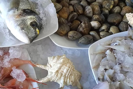 selection of fish and shell in the espicha