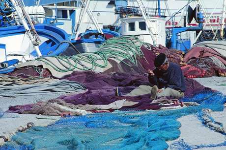 fisherman sawing red in motril