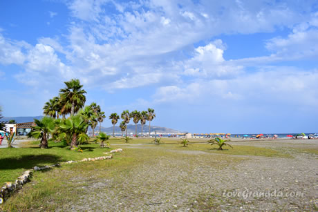 palm trees on the shore of granada beach