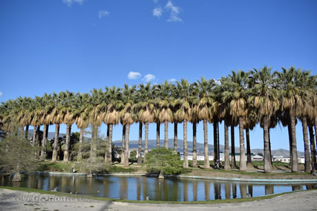 las americas park in motril
