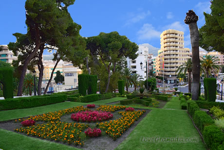 flowers next to the sancturary and las americas park