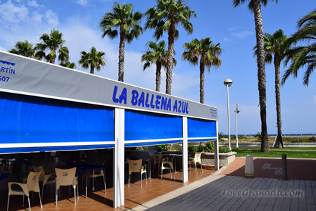 terrace with beach view in restaurant ballena azul