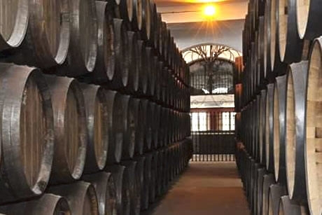 ron montero barrels