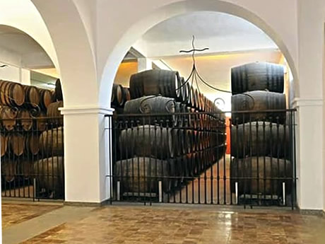 ron montero winery