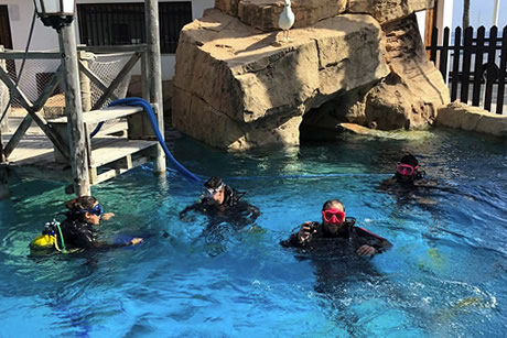 diving lessons of marina diving centre